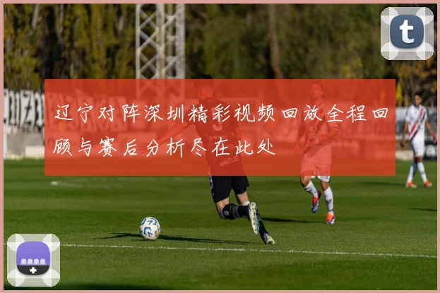 辽宁对阵深圳精彩视频回放全程回顾与赛后分析尽在此处