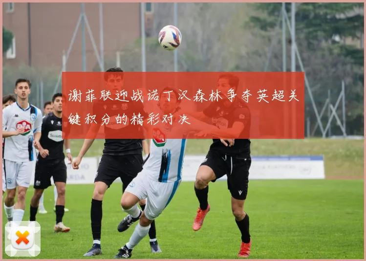 谢菲联迎战诺丁汉森林争夺英超关键积分的精彩对决