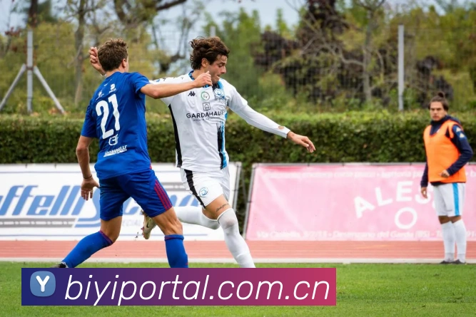 App Interface Preview